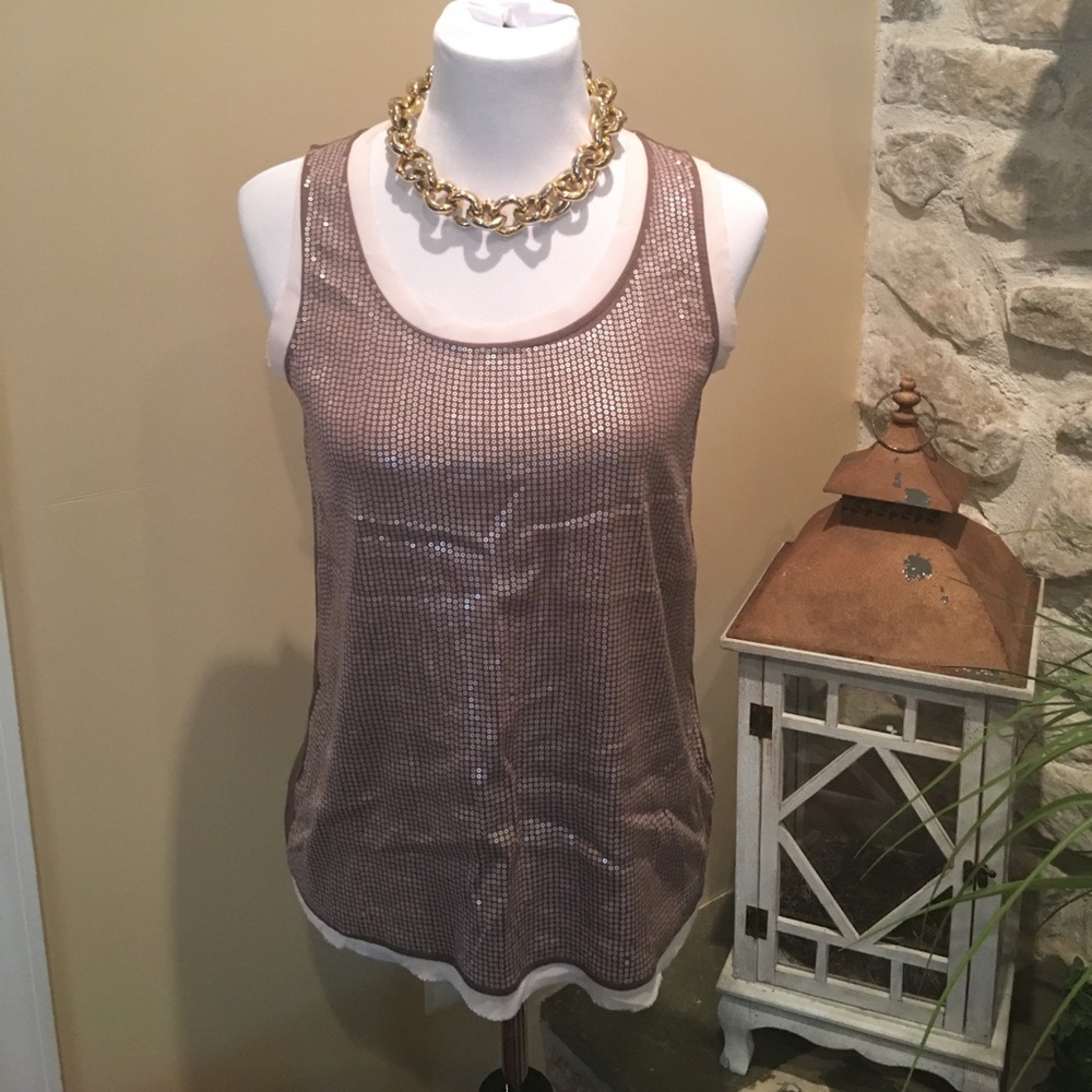 CHICO'S STUNNING BROWN SHIMMER TOP