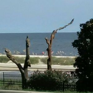 Meet your Posher, Zhen