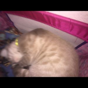 Meet your Posher, Kaye