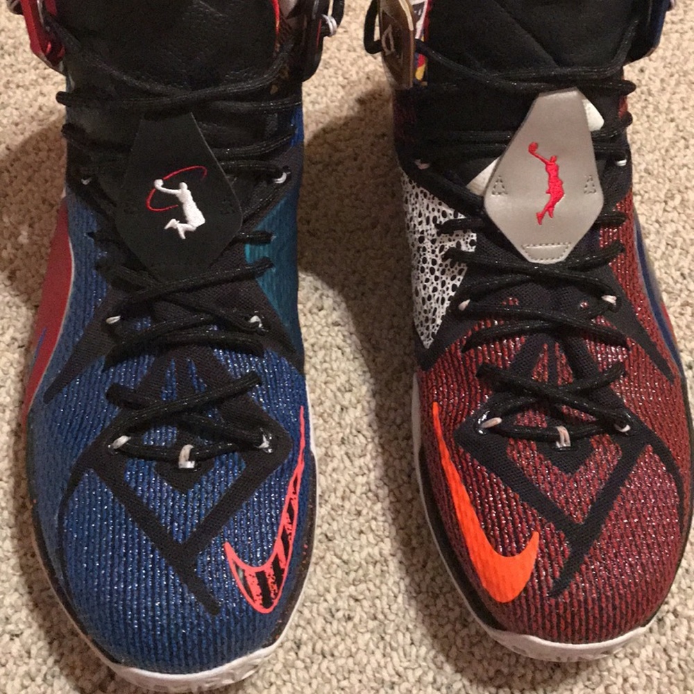Nike Lebron 13 "what the" size 14