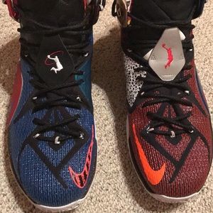 Nike Lebron 13 "what the" size 14