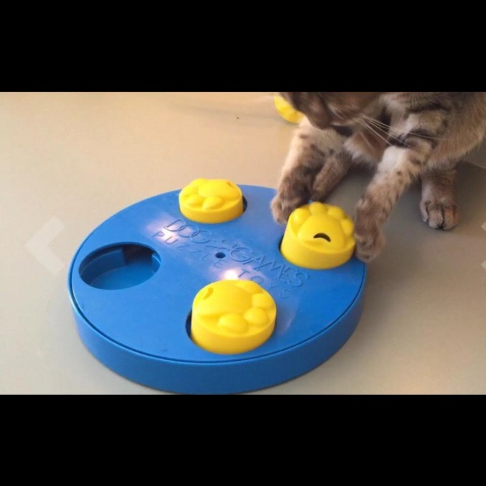 Pet puzzle treat toy