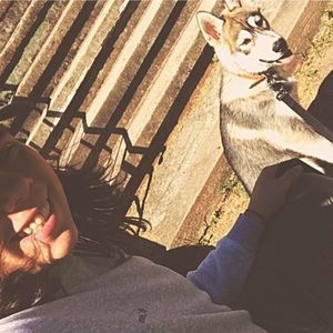 Meet your Posher, Dylan