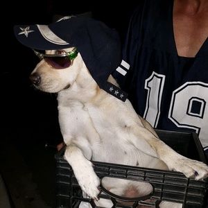 Meet your Posher, Stanley