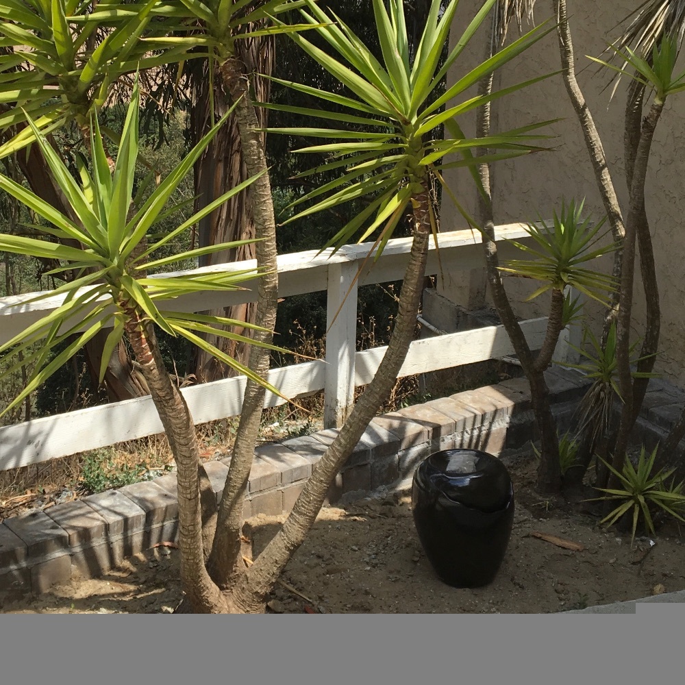 Meet your Posher, Joanne