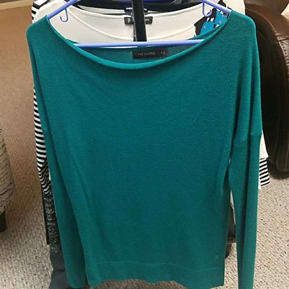 The Limited fitted sweater
