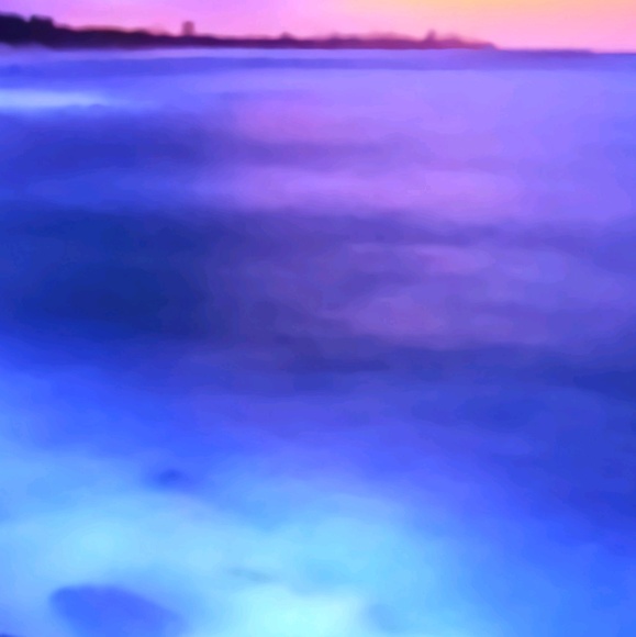 Meet your Posher, Kassie - Picture 1 of 1