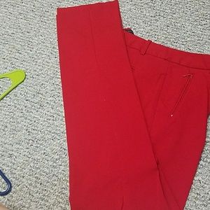 The Limited Exact Stretch bootcut pants