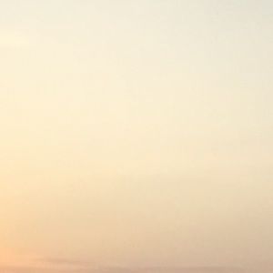 Meet your Posher, Tom