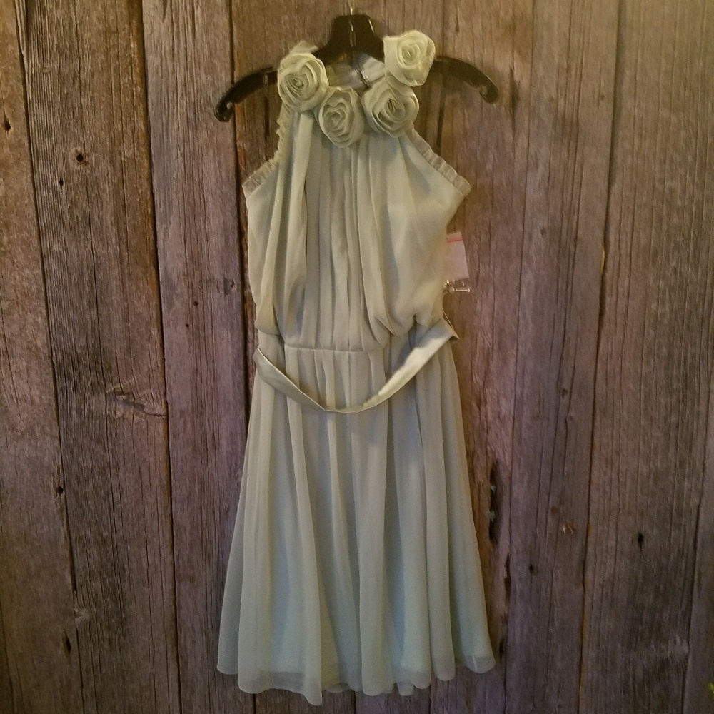 Mint unused bridesmaids dress