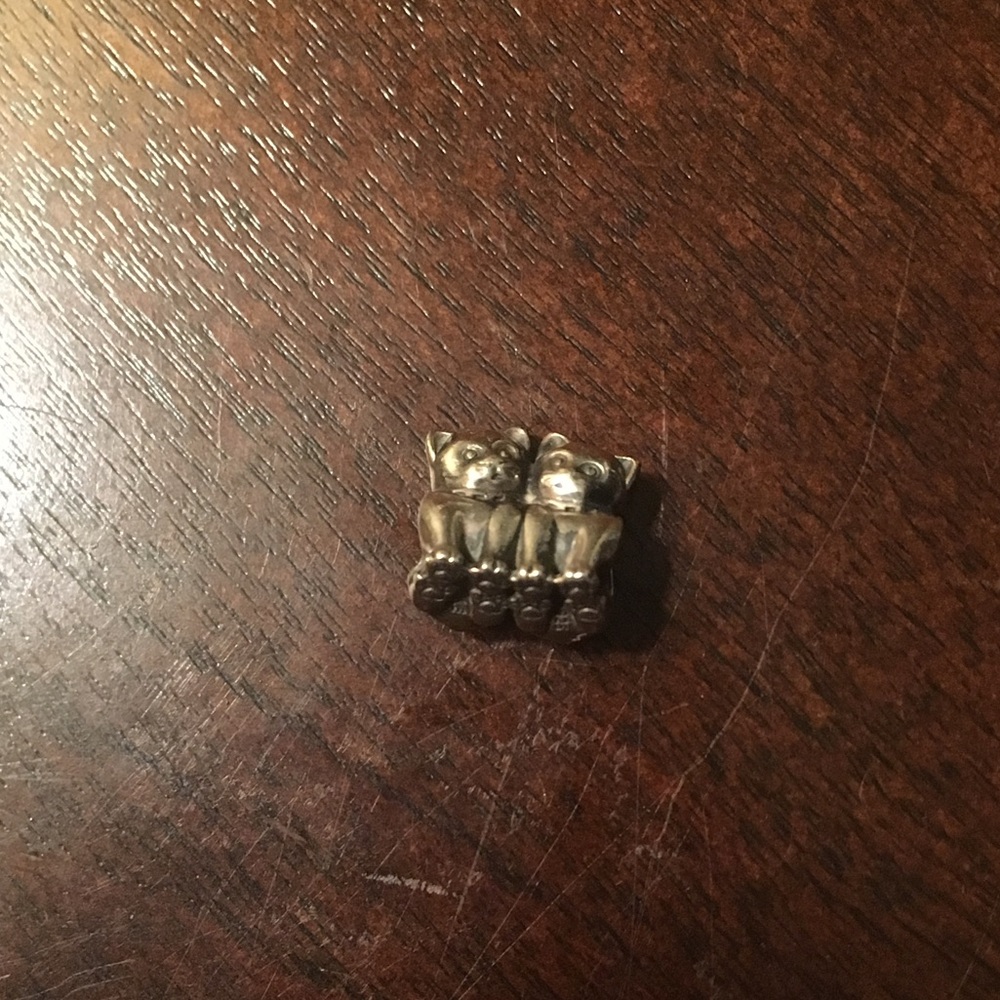 Pandora Purrfect Together Cat Charm