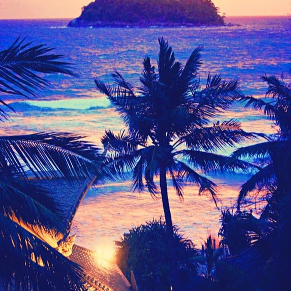 Meet your Posher, Alexandria