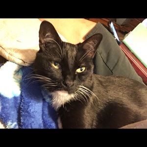 Meet your Posher, Rachel