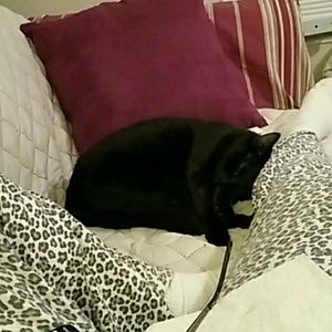 Meet your Posher, Cheryl