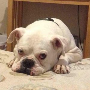 Meet your Posher, Kevin