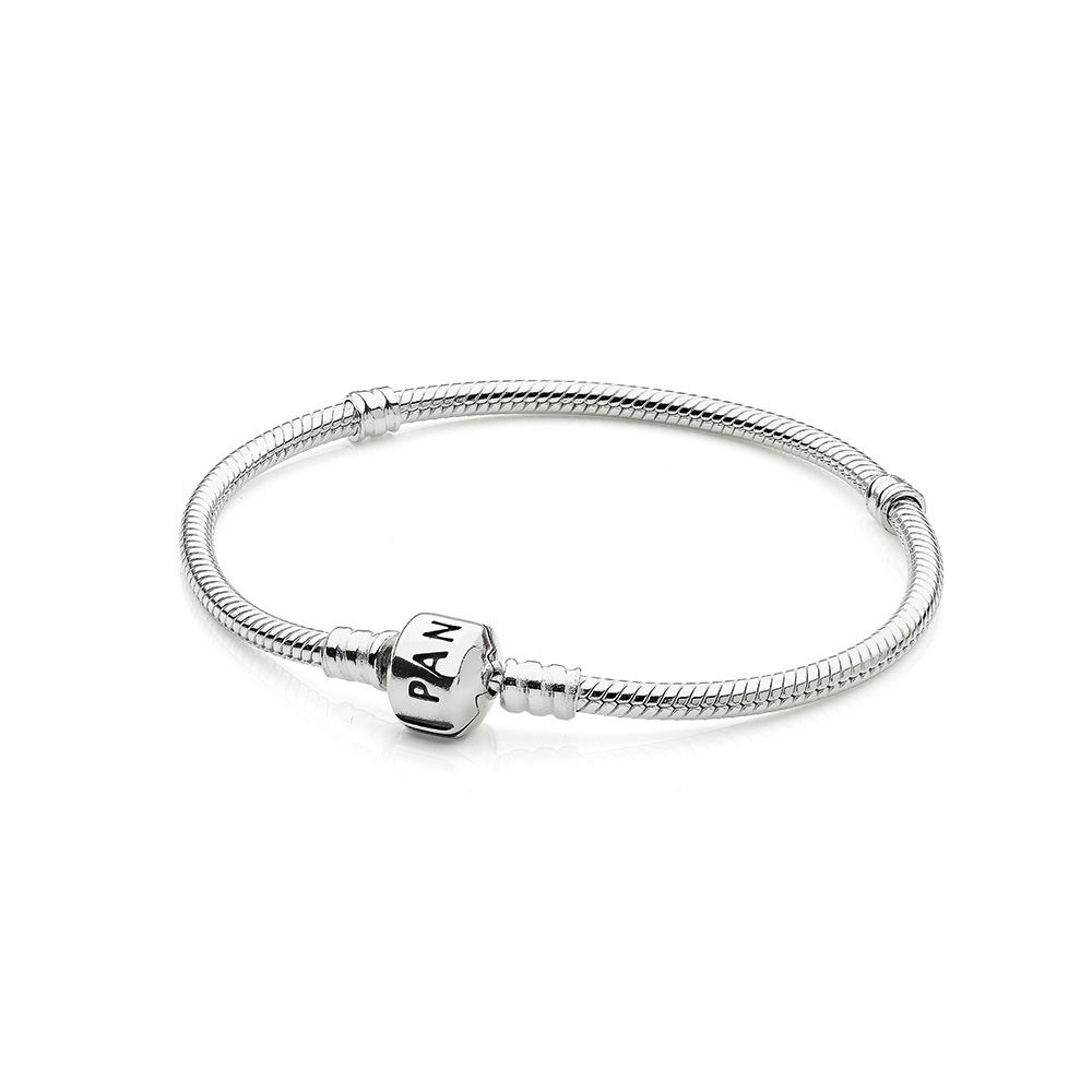 Pandora Charm Bracelet!