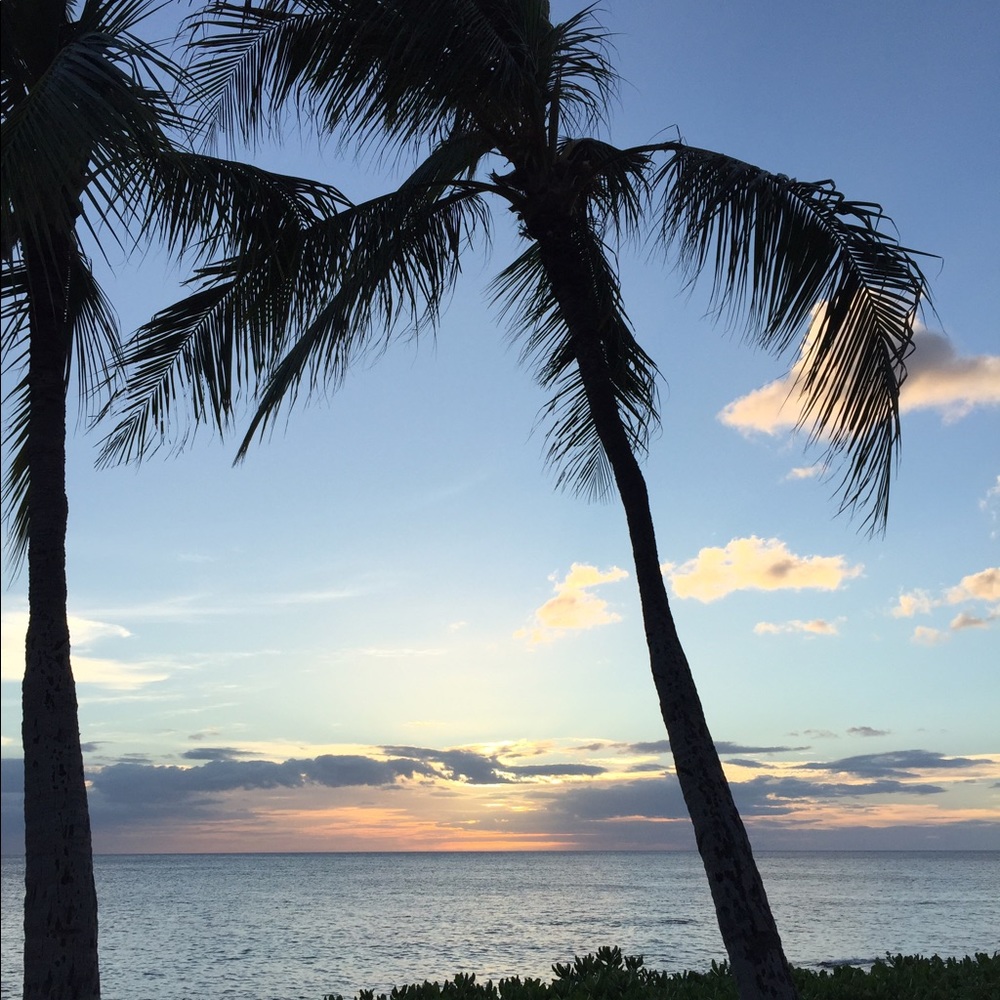 Meet your Posher, Madelyn