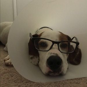 Meet your Posher, Adam