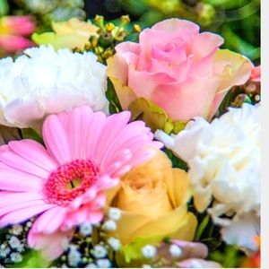 Meet your Posher, Yajaira