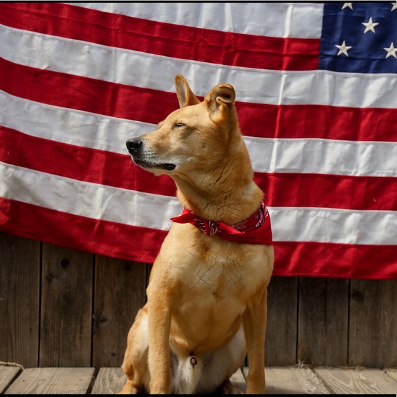 Meet your posher, Aaron - Picture 3 of 3