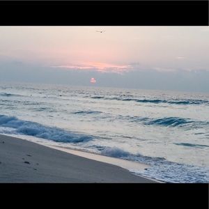 Meet your Posher, Judith