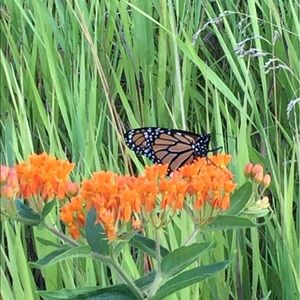 Meet your Posher, Evan