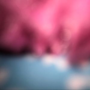 Meet your Posher, Allie