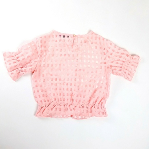 Pink Sheer Top - Picture 4 of 4