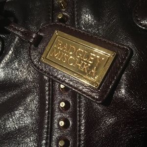 Badgley Mischka bag