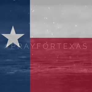 Meet your Posher, Sandy