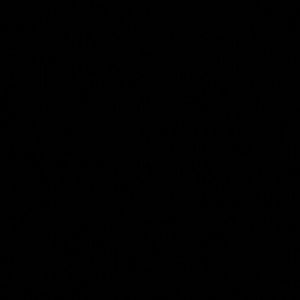 Meet your Posher, Shawn