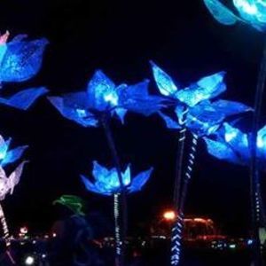 Meet your Posher, Tami