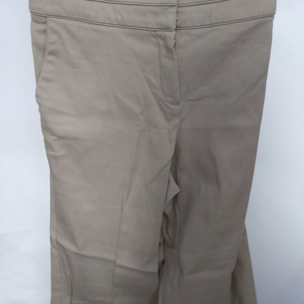 Larry Levine Size 14 Tan Pants