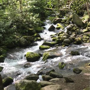 Meet your Posher, Madison