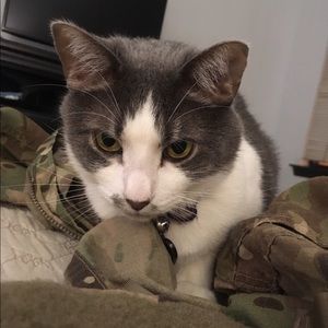 Meet your Posher, Vivian