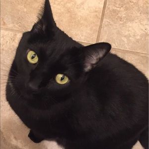 Meet your Posher, Nicole