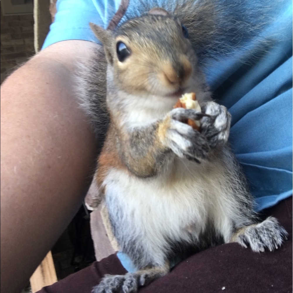 Meet your Posher, Shandy