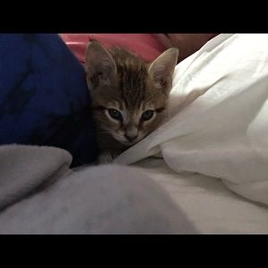 Meet your Posher, Libby