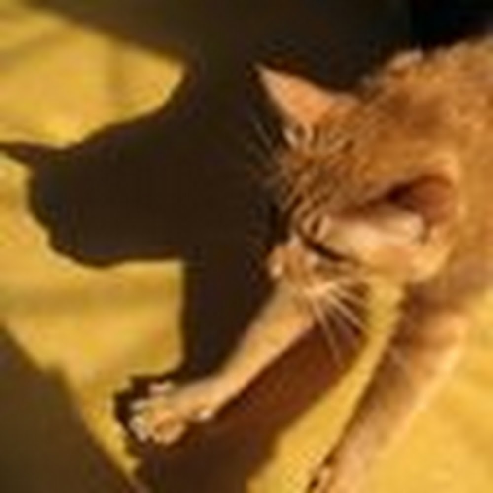 Meet your Posher, Elena