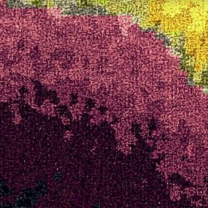 Meet your Posher, Dylan