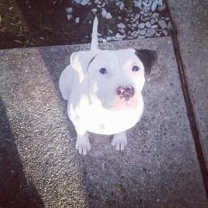 Meet your Posher, Bryan