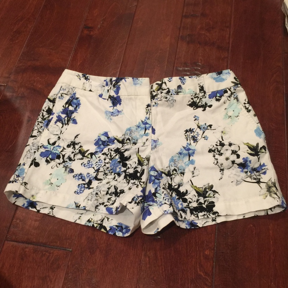Loft Shorts