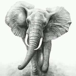 Meet your Posher, Lydia