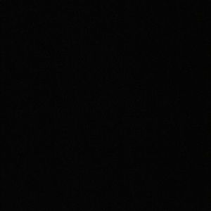 Meet your Posher, Noah