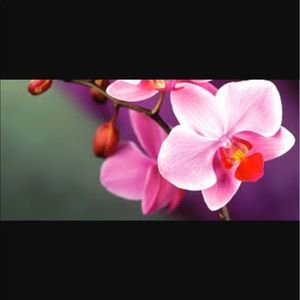 Meet your Posher, Arika