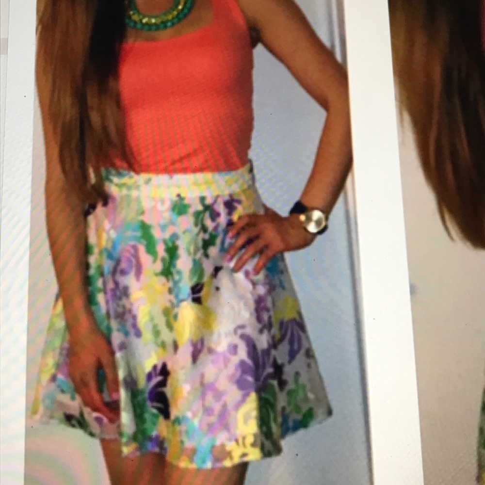 Super cute embroidered skater skirt🌺💚🌺💚