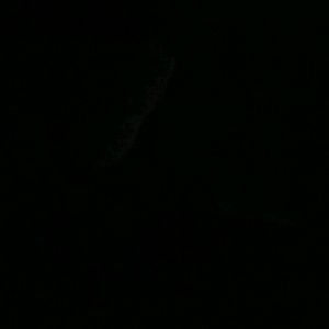 Meet your Posher, Ycela