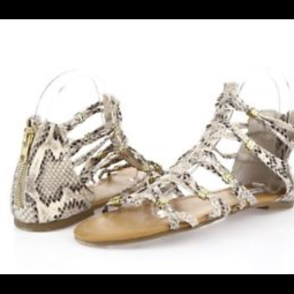 Steve Madden snake print gladiators