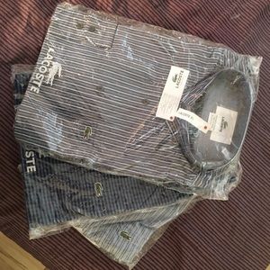 LACOSTE three dress shirts (LT Large, Tall)