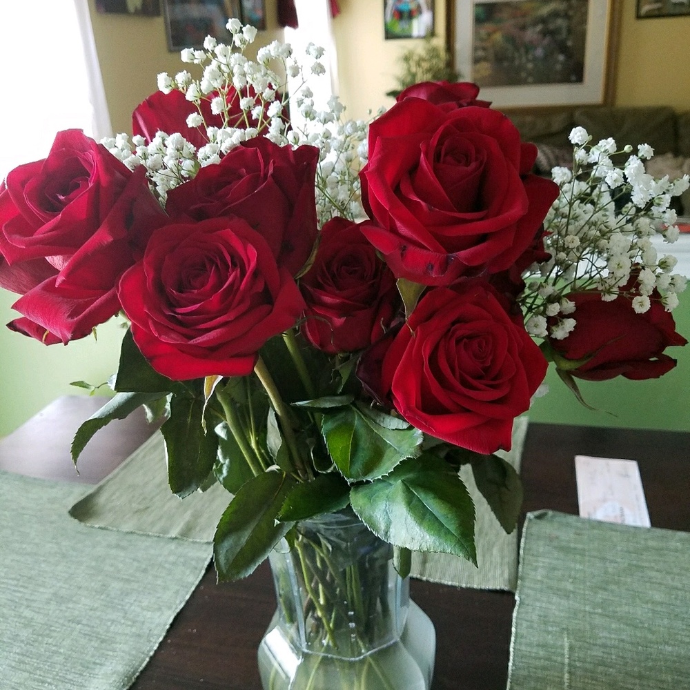 Meet your Posher, Regina